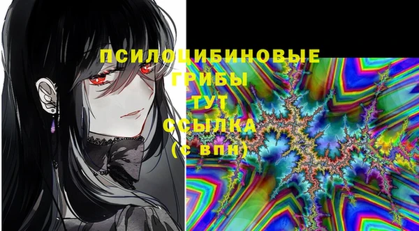 амф Алексин
