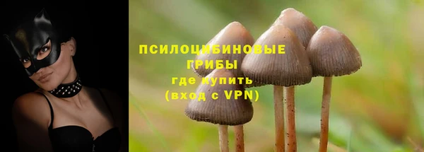 ПСИЛОЦИБИНОВЫЕ ГРИБЫ Алексеевка