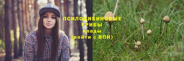 спайс Алзамай