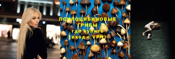 спайс Алзамай