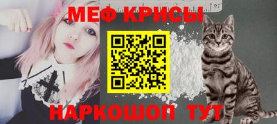 стаф Гатчина
