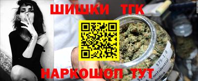 стаф Гатчина