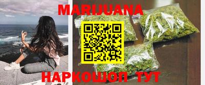 стаф Гатчина