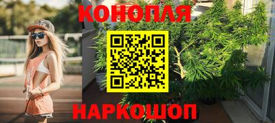 стаф Гатчина