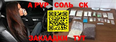 стаф Гатчина